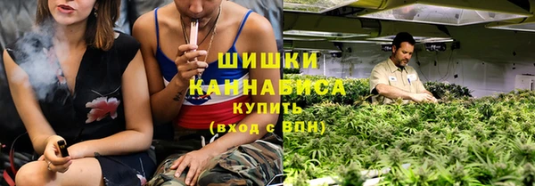 дмт Белокуриха