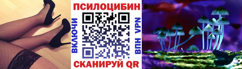 Купить Северобайкальск Галлюциногенные грибы Psilocybine cubensis