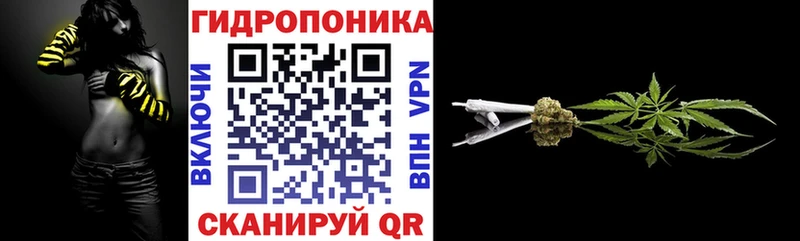 Купить где  Северобайкальск  Конопля план 